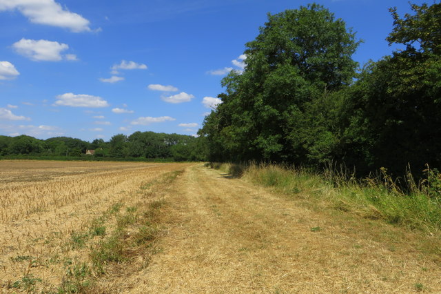 Milton Keynes Boundary Way by the Oak Spinney