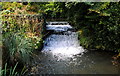 River, Kingswood, nr Wotton Under Edge, Gloucestershire 2014