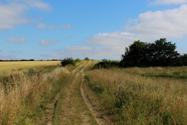 Track between Low Lead Farm and Newstead Farm