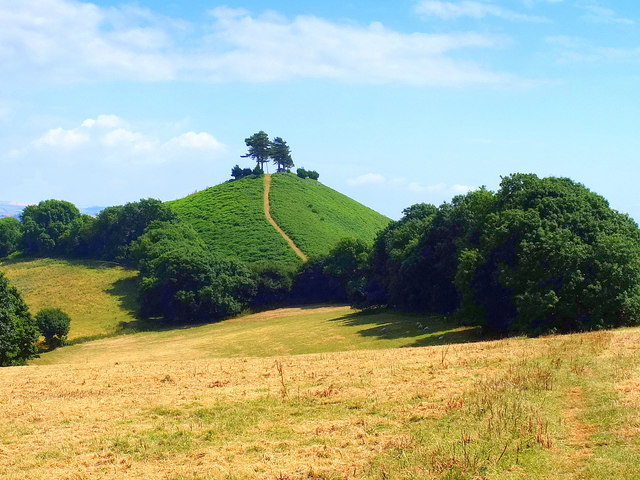 Colmer's Hill, Dorset