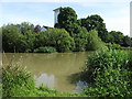 Pond on Ditton Common by All Saint