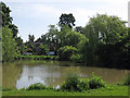 Pond on Ditton Common by All Saint