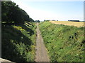 Line of the dismantled railway north of Brafferton