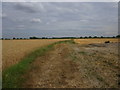 SE6235 : Farm track off Ings Lane by Jonathan Thacker