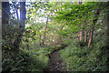 West Somerset : Footpath