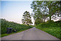 West Somerset : Country Lane