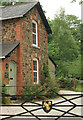 Squirrel, Dunley Lodge