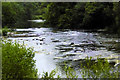 W5257 : River Bandon near Dundaniel by David Dixon