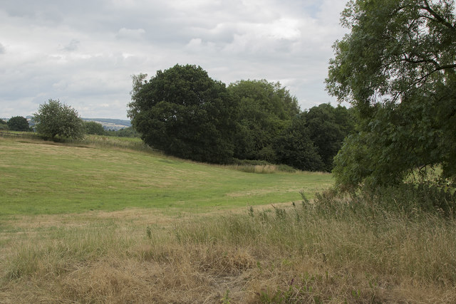 Ireton's Farm from Goodwins Lane