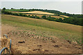 Farmland, Hele Farm