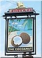 The Cocoanut