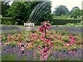 Rose garden at Hill Court