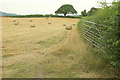 Straw bales near Higher Crockham Farm