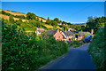 Kingsbridge : Country Lane