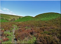 SK1497 : Humber Knolls in the Upper Derwent Valley by Neil Theasby