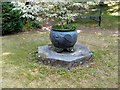 SK4924 : Chinese Garden, Whatton House, fish cauldron by Alan Murray-Rust