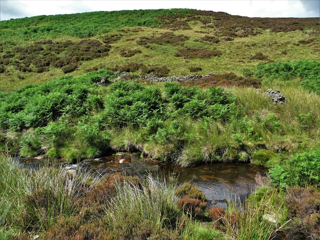 Ruins of a sheepfold in the Upper Derwent Valley