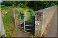 SP3102 : Kissing gate on public footpath by Fisher's Bridge, Bampton, Oxon by P L Chadwick