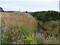 Unnamed burn by the A78 at Fairlie