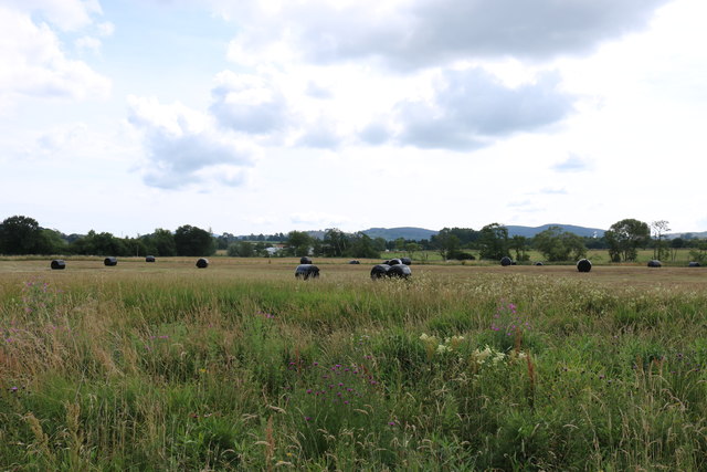 Farmland at Dumfries
