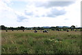 Farmland at Dumfries