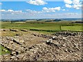 NY8070 : Milecastle 35, Hadrian's Wall by Andrew Curtis
