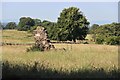 Farm ruin at Whitehouse