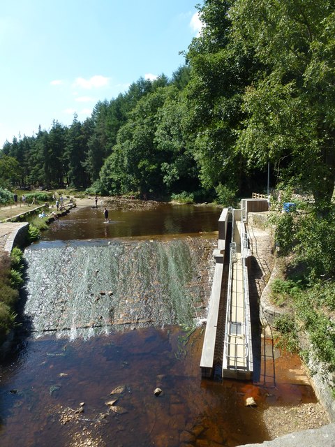 New Fish Ladder on the Little Don at Brookhouse Bridge Weir