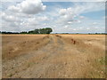 Track of Old Railway at site of Wilburton Station