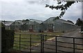 Greenhouses near the Kirdford Road