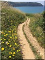 Pembrokeshire Coast Path