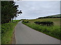 NY6138 : Rural lane, heading north by Rob Purvis