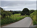 Lane and fields, south of Staffield, looking north