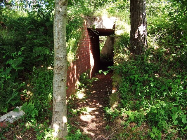 Bunker in Pembrey Forest