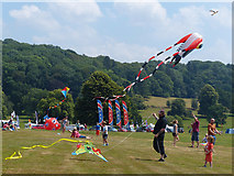 SO5063 : Flying kites at Berrington Hall, Herefordshire by Robin Drayton