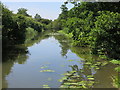 The River Mole west of Green Lane