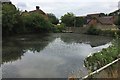 Pond at Flitchfold Farm