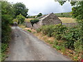 Traditional farm buildings and sheep pens on Molly Road