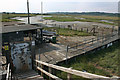 Semi-derelict boathouse and jetty, Canvey Island