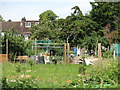 Allotments south of Island Farm Road