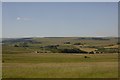 NY8692 : Redesdale by Richard Webb