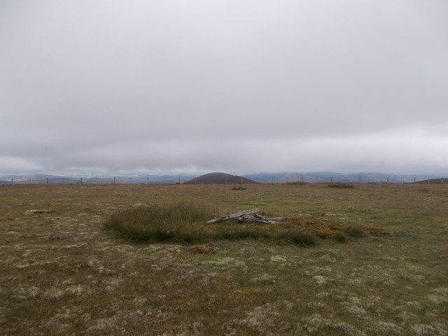Summit area of Middle Hill