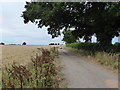 Byway near Whyr Farm