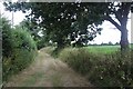 TG2735 : Track at Royal Farm by Alan Reid
