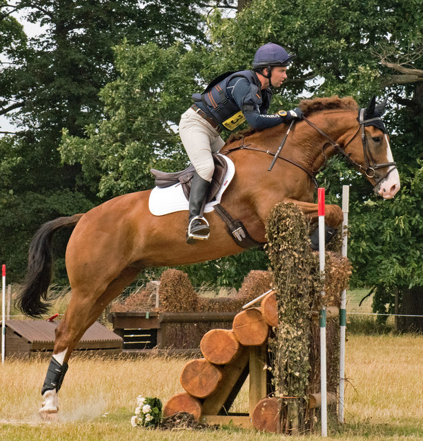Cumbrian Horse Trials, Warwick Hall - 22 July 2018 (19)