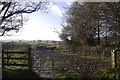 Muddy field, Loughton