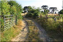 SP8859 : Footpath into Easton Maudit by Philip Jeffrey