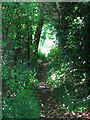 Footpath by the Dead River south of Fleetside