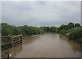 The River Ouse downstream of Cawood Bridge