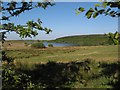 Barnshean Loch, east end